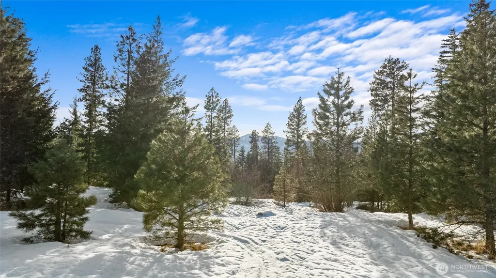 0 Mountain Ridge Road Roslyn WA 98941