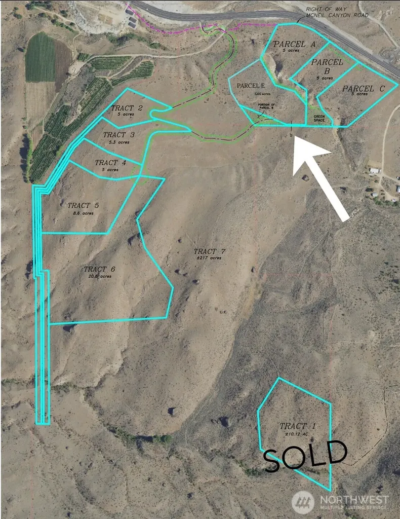 0 Parcel E Mcneil Canyon Road Orondo WA 98816