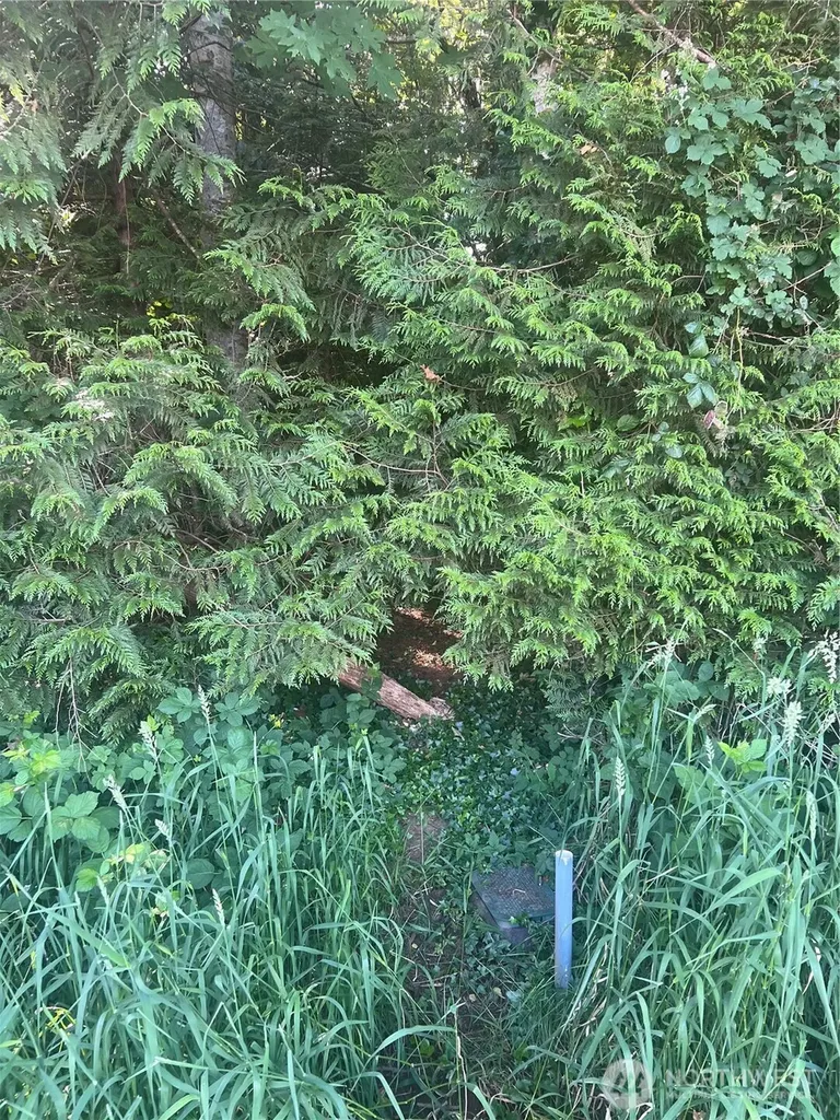 0 E Seamount Way Shelton WA 98584