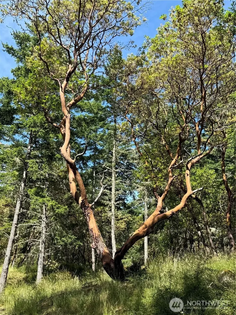 0 Nordkapp Lane Friday Harbor WA 98250