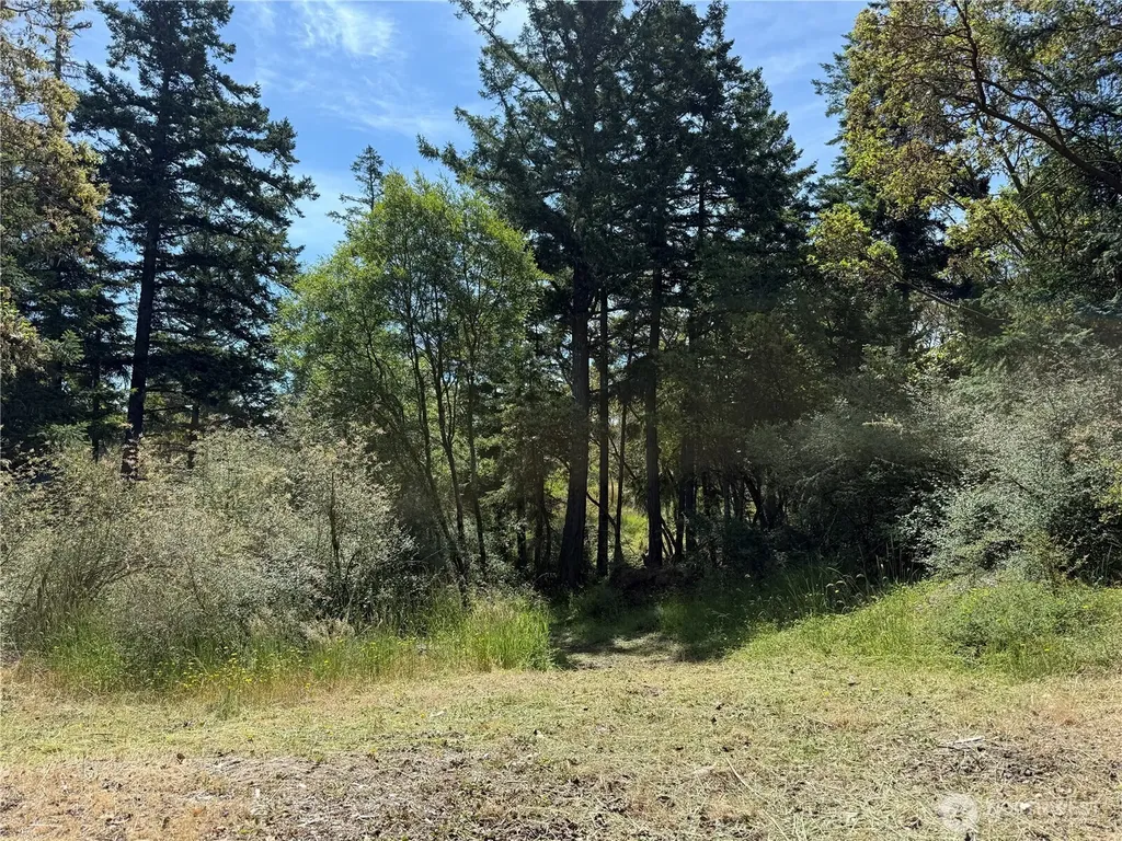 0 Nordkapp Lane Friday Harbor WA 98250