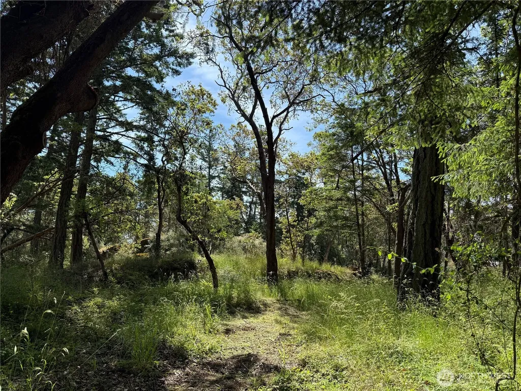0 Nordkapp Lane Friday Harbor WA 98250