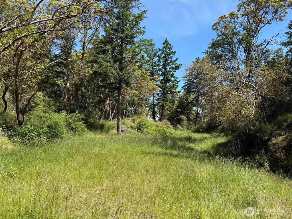 0 Nordkapp Lane Friday Harbor WA 98250