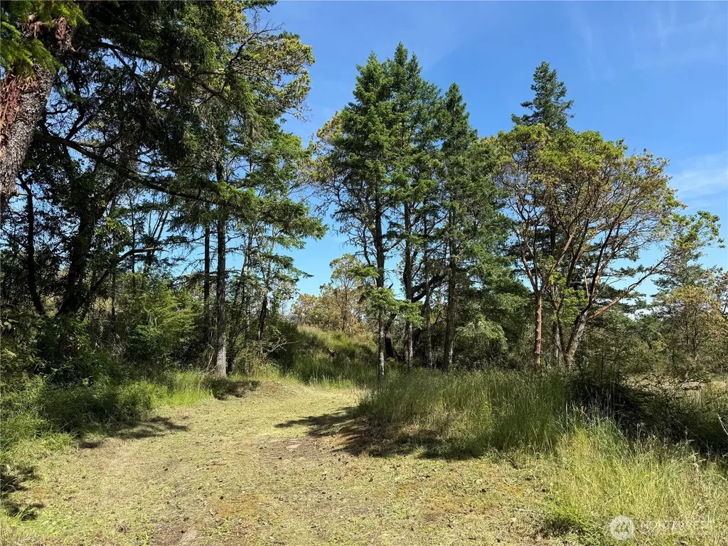 0 Nordkapp Lane Friday Harbor WA 98250