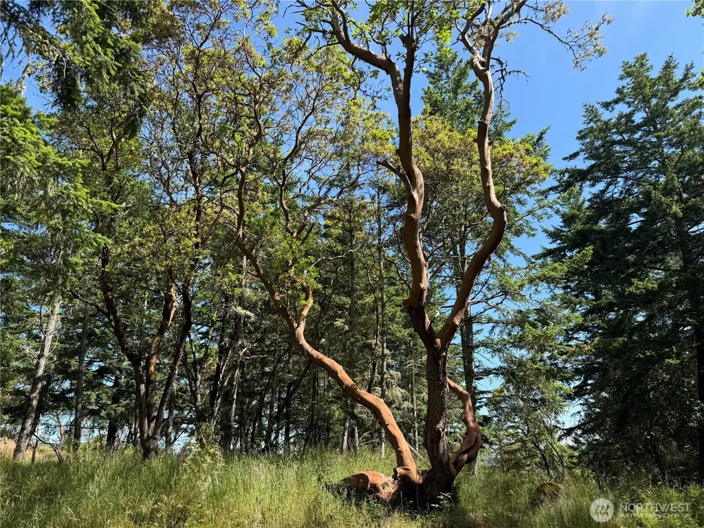 0 Nordkapp Lane Friday Harbor WA 98250