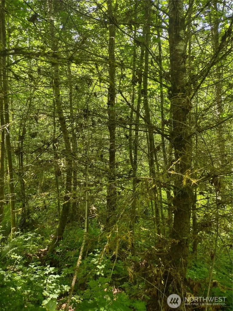 0 Glass Road Port Angeles WA 97207