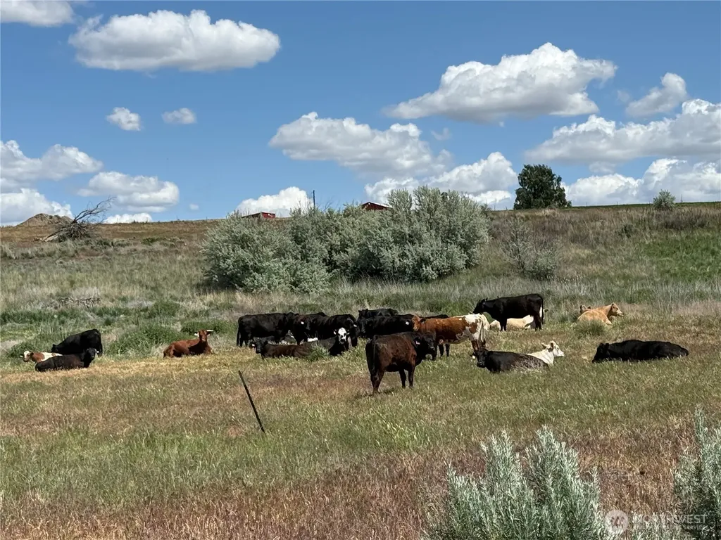 8708 Road K Road NE Moses Lake WA 98837