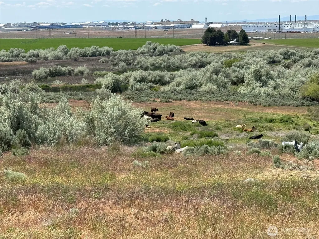 8708 Road K Road NE Moses Lake WA 98837