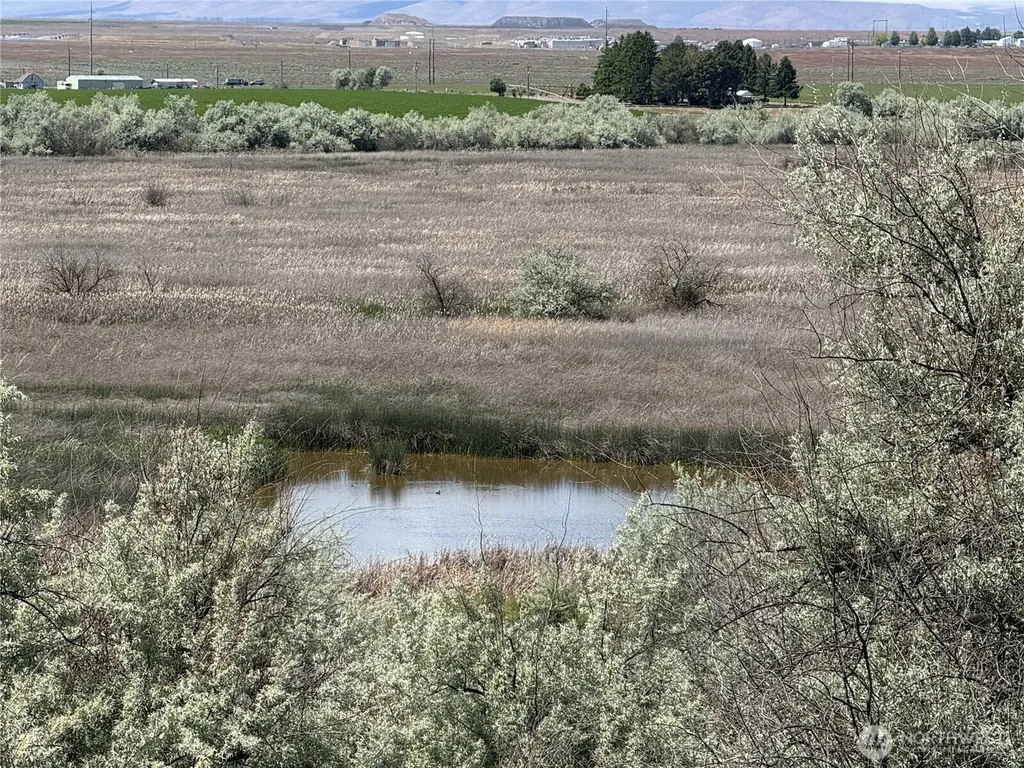 8708 Road K Road NE Moses Lake WA 98837