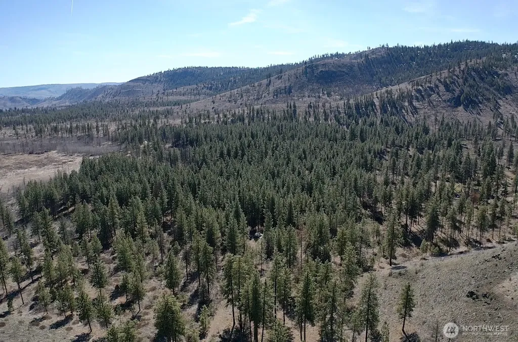 0 Washington Creek Road Chelan WA 98816