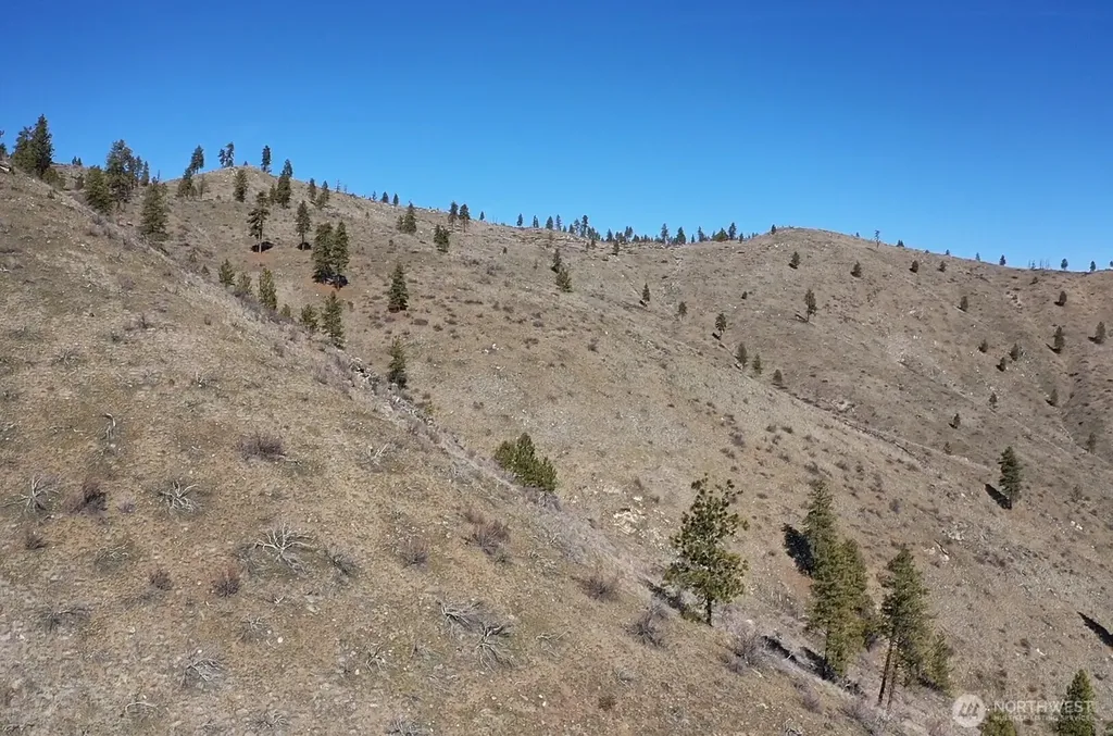 0 Washington Creek Road Chelan WA 98816