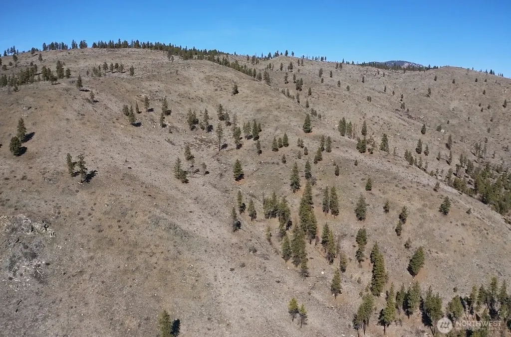 0 Washington Creek Road Chelan WA 98816