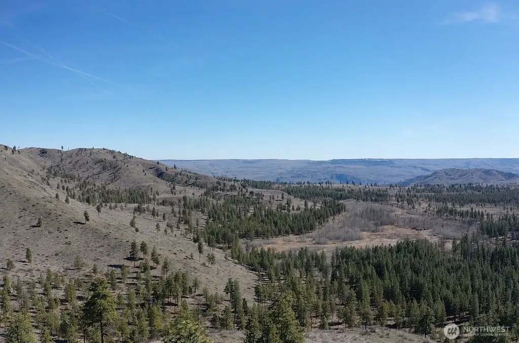 0 Washington Creek Road Chelan WA 98816