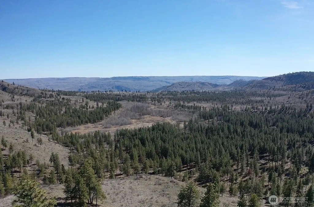 0 Washington Creek Road Chelan WA 98816