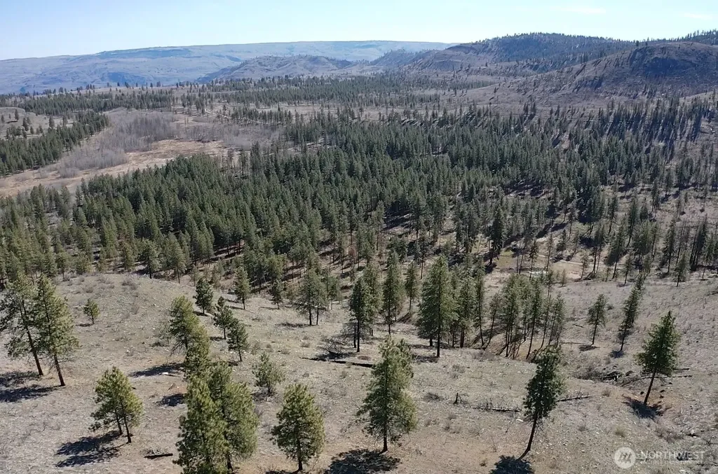 0 Washington Creek Road Chelan WA 98816
