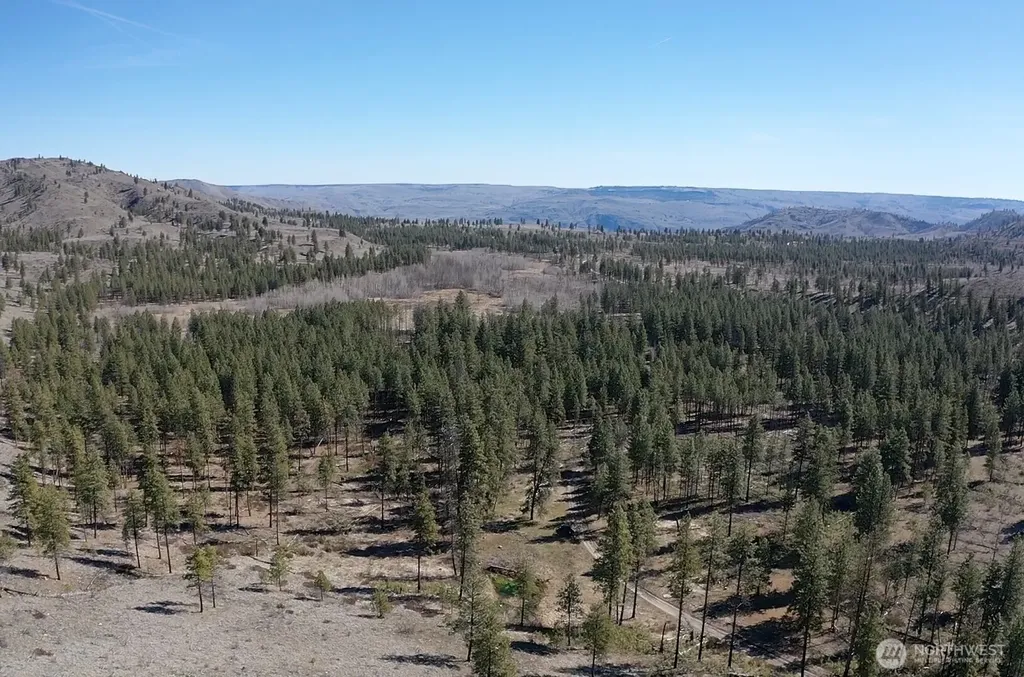 0 Washington Creek Road Chelan WA 98816