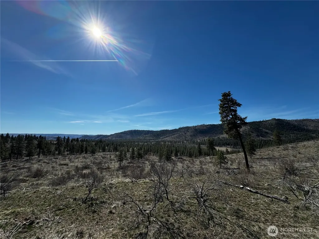 0 Washington Creek Road Chelan WA 98816