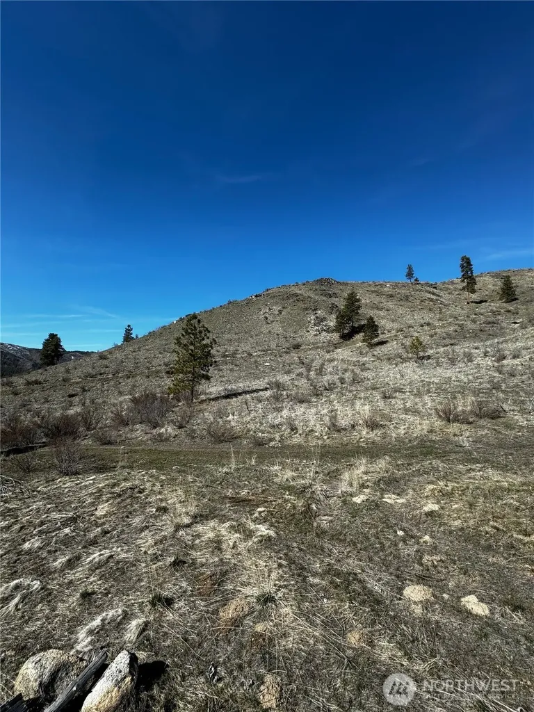 0 Washington Creek Road Chelan WA 98816