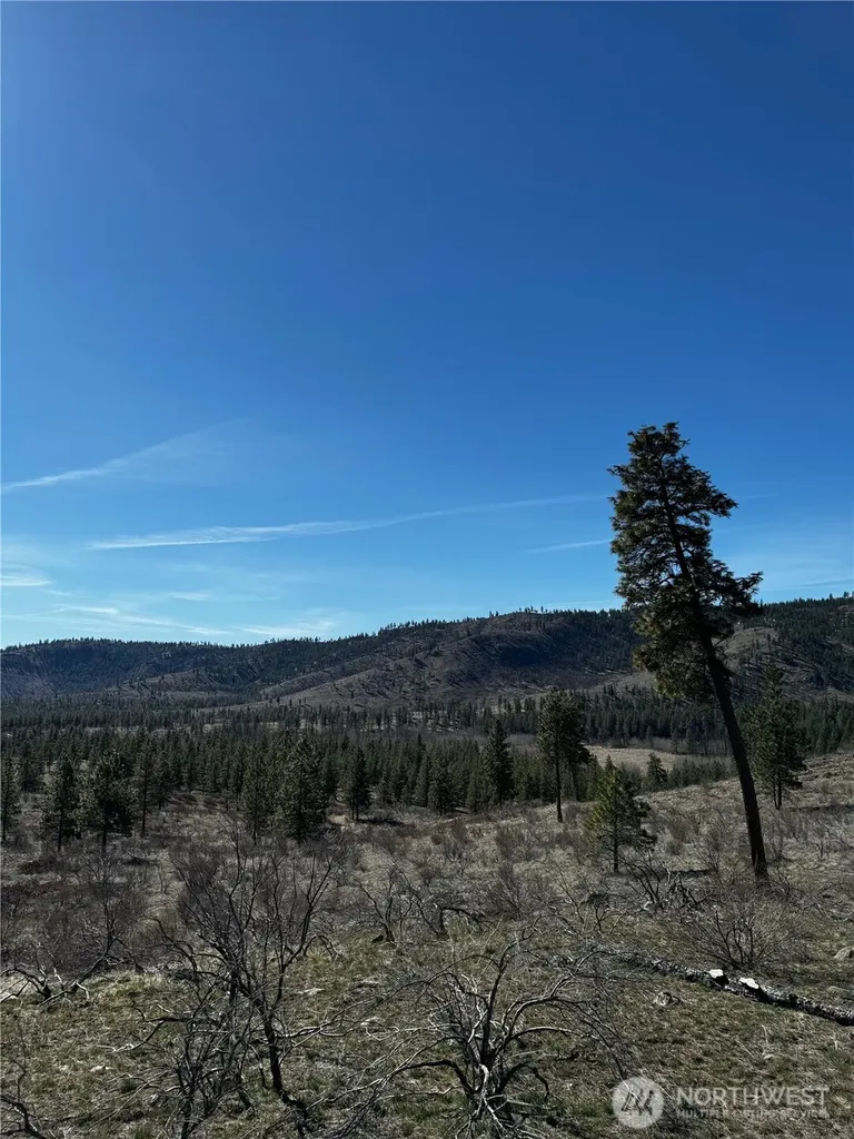 0 Washington Creek Road Chelan WA 98816