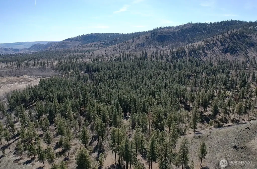 0 Washington Creek Road Chelan WA 98816