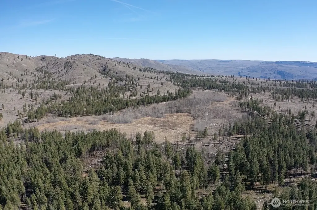 0 Washington Creek Road Chelan WA 98816