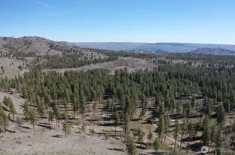 0 Washington Creek Road Chelan WA 98816