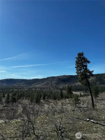 0 Washington Creek Road Chelan WA 98816