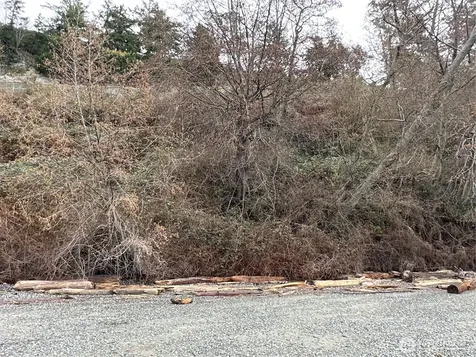 2 Woodland Beach Road Camano Island WA 98282