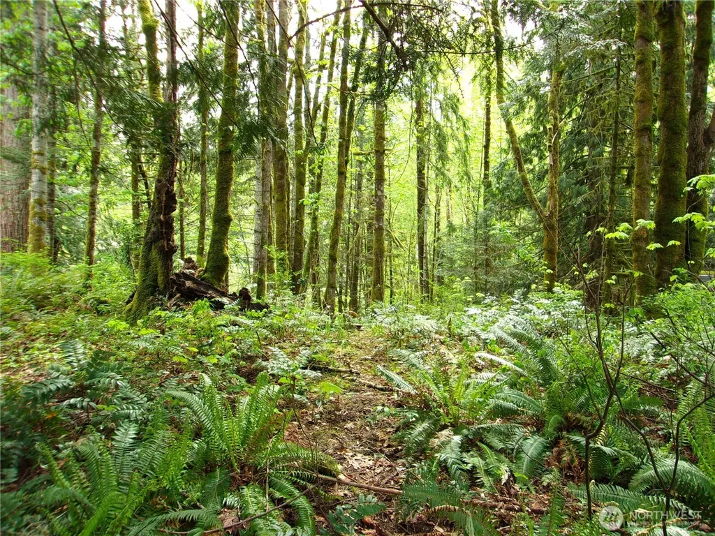 0 River Road Brinnon WA 98320