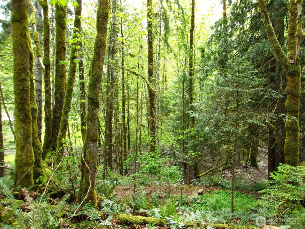 0 River Road Brinnon WA 98320