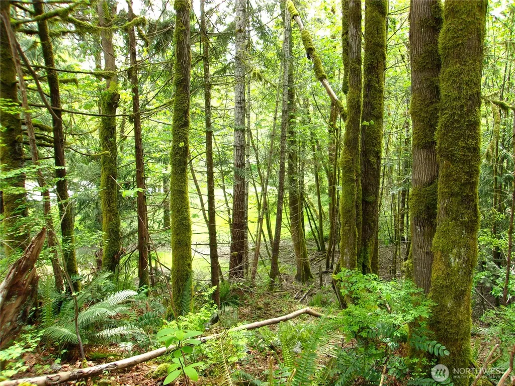 0 River Road Brinnon WA 98320