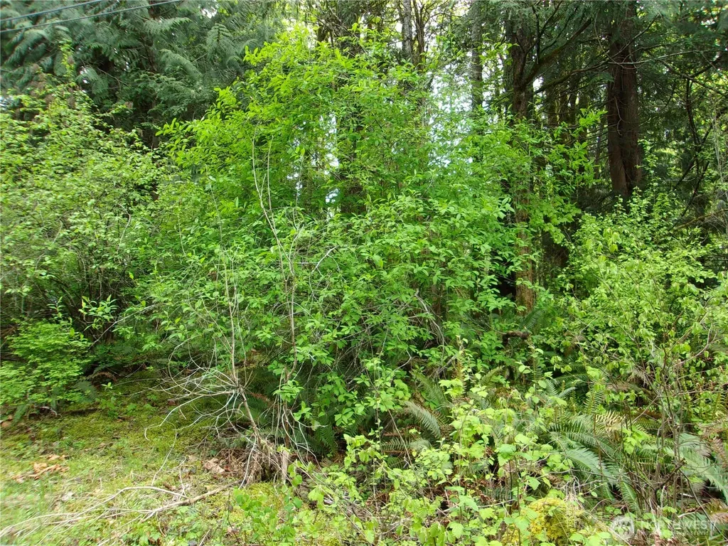 0 River Road Brinnon WA 98320