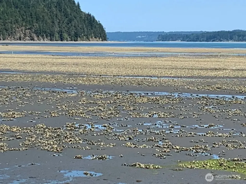 0 River Road Brinnon WA 98320