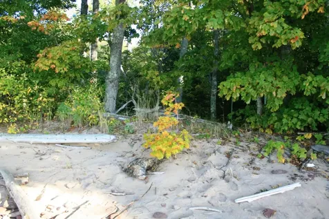 Tbd Lakeshore Drive MI 49953