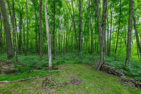 6533 Jacobs Stone Lane Wabeno WI 54566