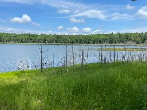 E24934 Grass Lake Road E Watersmeet MI 49969