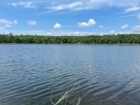 E24934 Grass Lake Road E Watersmeet MI 49969