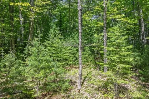 Off Twin Hill Road Conover WI 54519