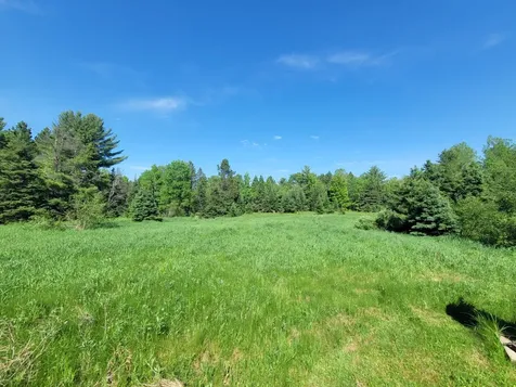 79.38 Ac Metos Road Trout Creek MI 49967