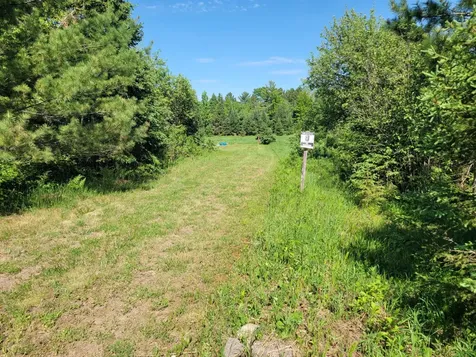 79.38 Ac Metos Road Trout Creek MI 49967