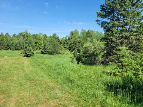 79.38 Ac Metos Road Trout Creek MI 49967