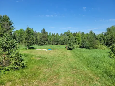 79.38 Ac Metos Road Trout Creek MI 49967