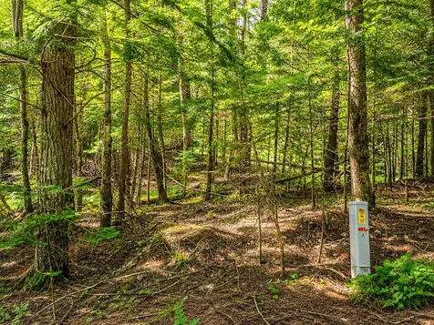Lot 4 Stateline Lake Road Marenisco MI 49947