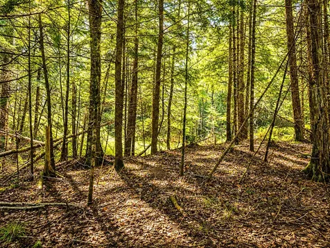Lot 4 Stateline Lake Road Marenisco MI 49947
