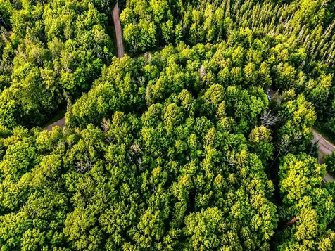 Lot 4 Stateline Lake Road Marenisco MI 49947