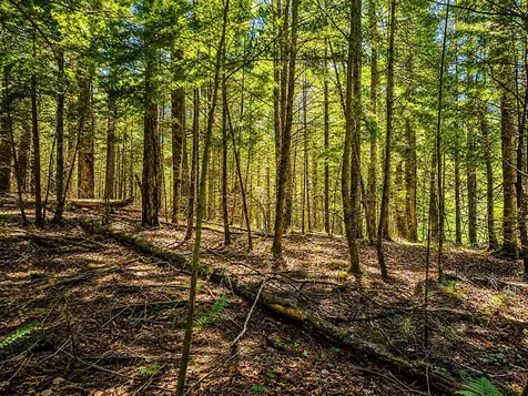 Lot 4 Stateline Lake Road Marenisco MI 49947