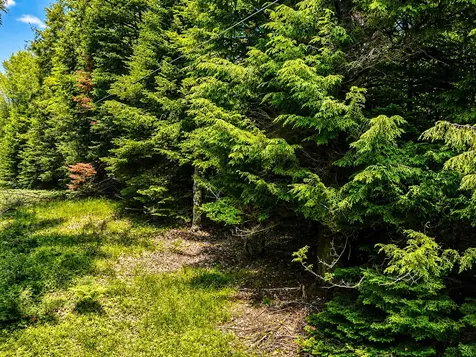 Lot 4 Stateline Lake Road Marenisco MI 49947