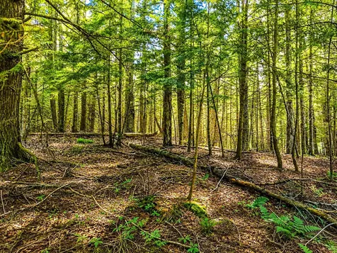 Lot 4 Stateline Lake Road Marenisco MI 49947