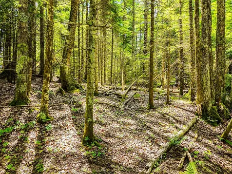 Lot 4 Stateline Lake Road Marenisco MI 49947