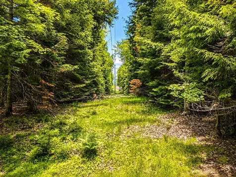 Lot 4 Stateline Lake Road Marenisco MI 49947